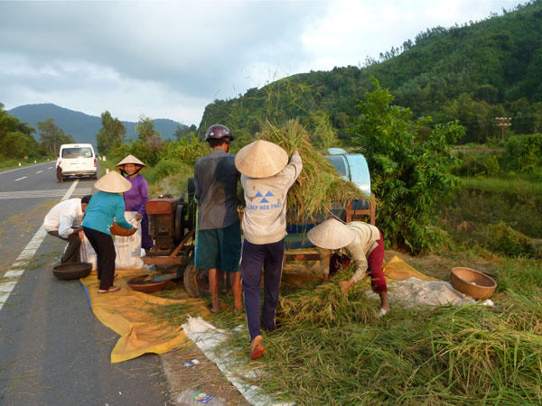 Reisproduktion am Straßenrand