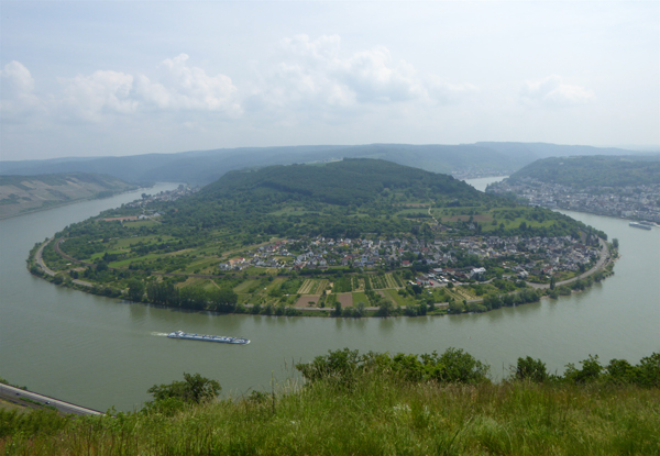 Blick auf die Rheinschleife bei Boppard